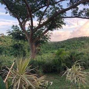 Meet your Posher, Charlotte